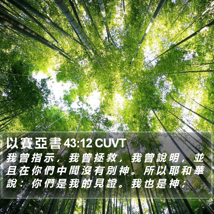 以 賽 亞 書 43:12 CUVT Bible Study