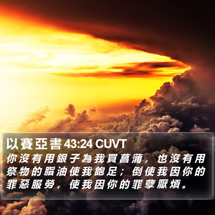 以 賽 亞 書 43:24 CUVT Bible Study