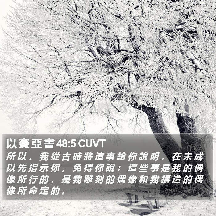 以 賽 亞 書 48:5 CUVT Bible Study
