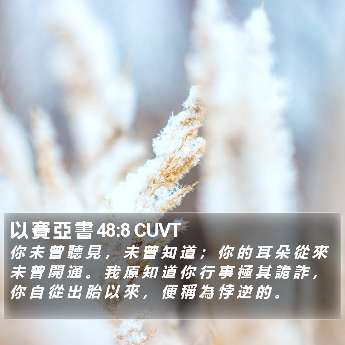 以 賽 亞 書 48:8 CUVT Bible Study