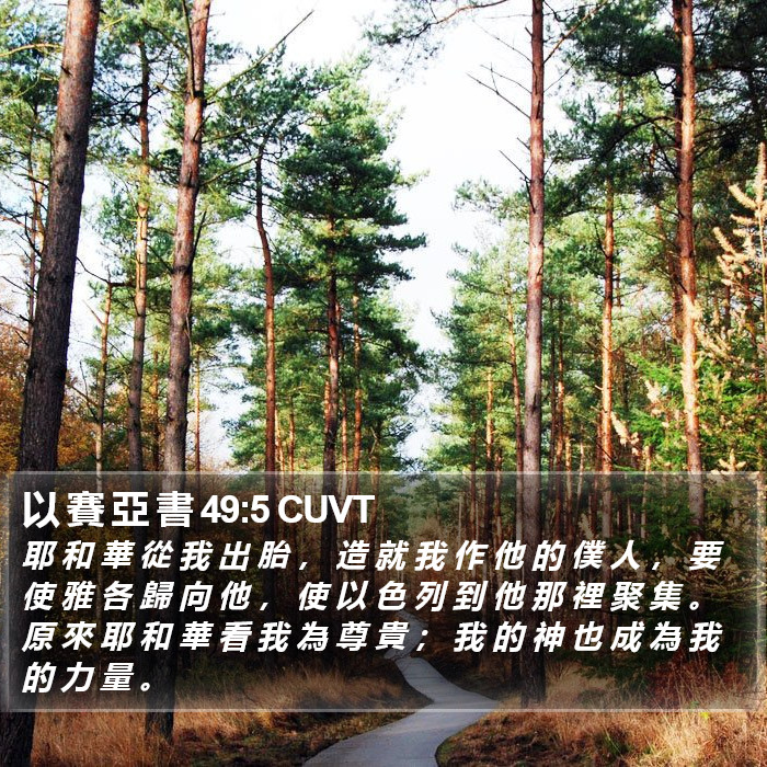以 賽 亞 書 49:5 CUVT Bible Study