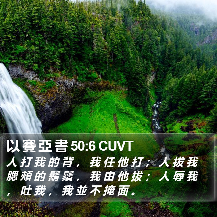 以 賽 亞 書 50:6 CUVT Bible Study