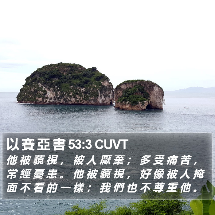 以 賽 亞 書 53:3 CUVT Bible Study