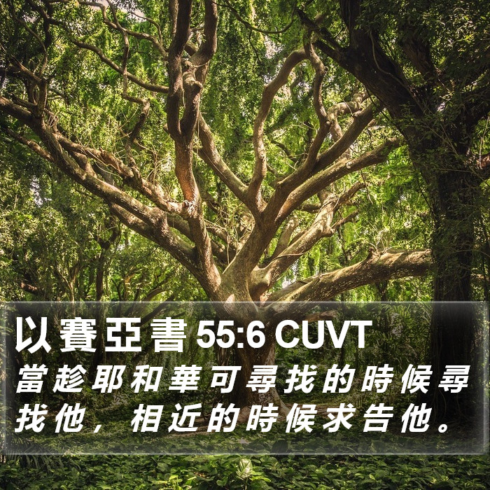 以 賽 亞 書 55:6 CUVT Bible Study