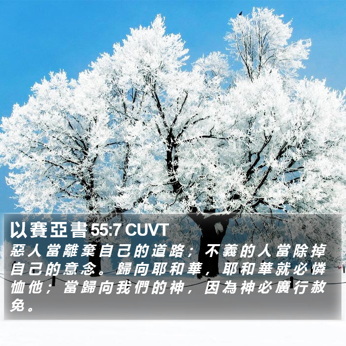 以 賽 亞 書 55:7 CUVT Bible Study