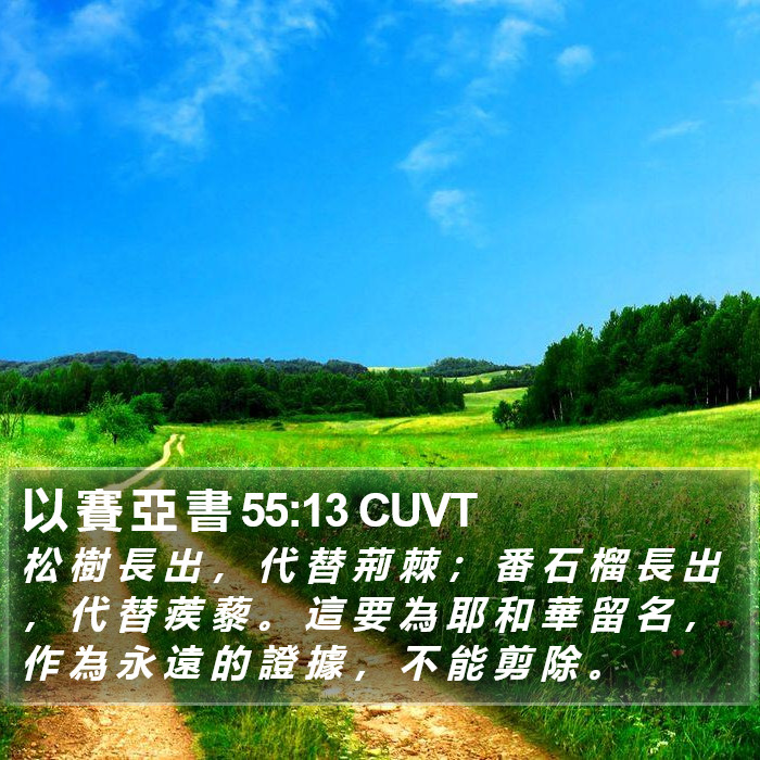 以 賽 亞 書 55:13 CUVT Bible Study