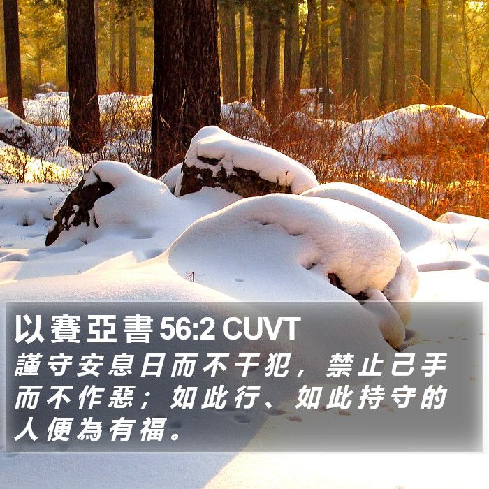 以 賽 亞 書 56:2 CUVT Bible Study