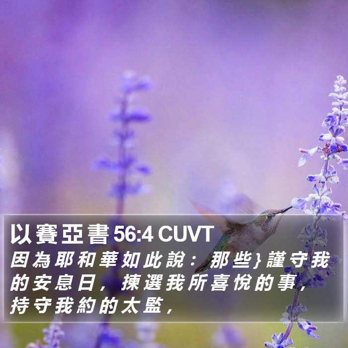 以 賽 亞 書 56:4 CUVT Bible Study