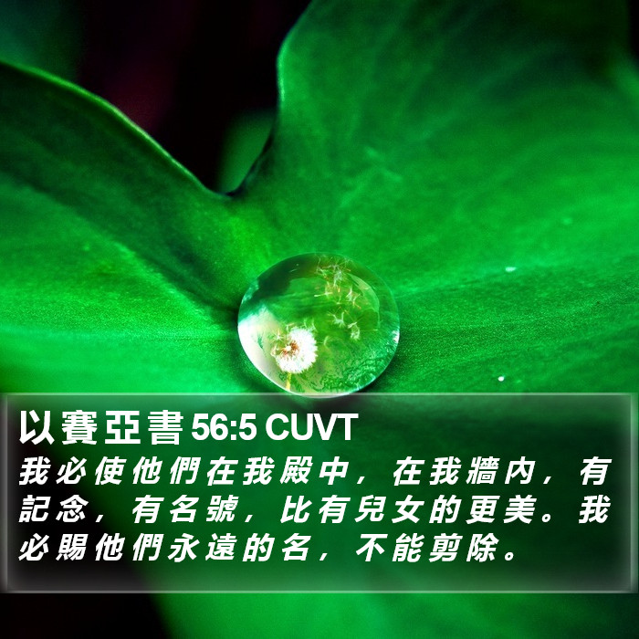 以 賽 亞 書 56:5 CUVT Bible Study