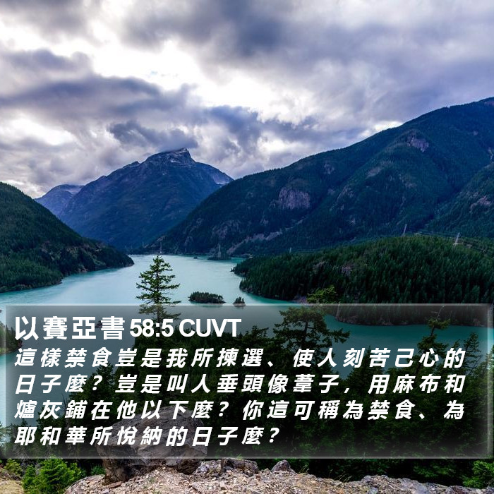 以 賽 亞 書 58:5 CUVT Bible Study