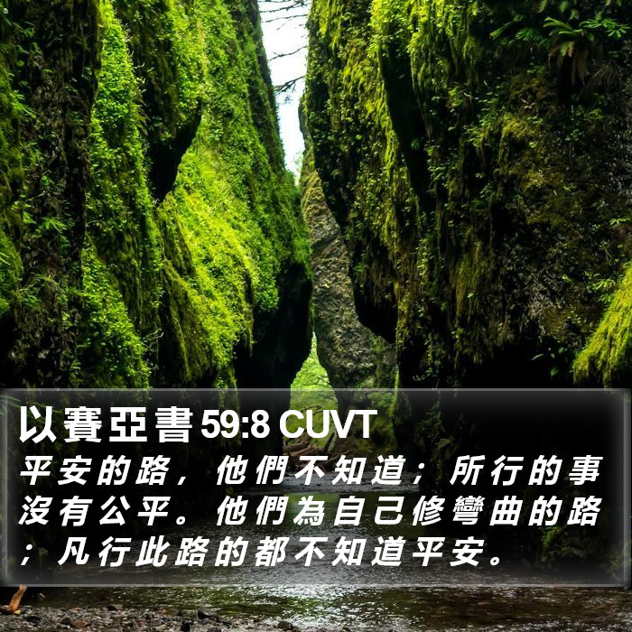 以 賽 亞 書 59:8 CUVT Bible Study