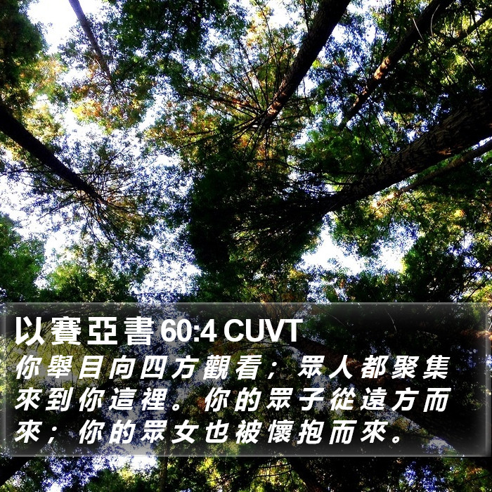以 賽 亞 書 60:4 CUVT Bible Study