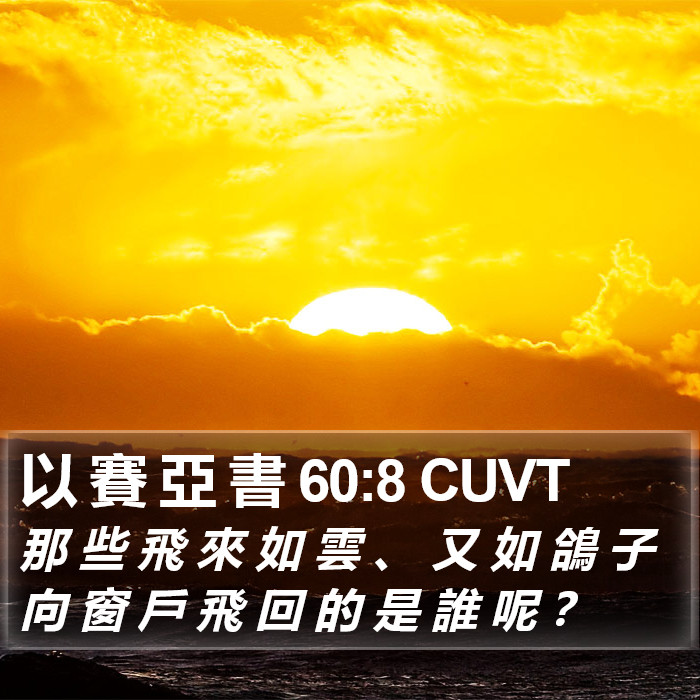 以 賽 亞 書 60:8 CUVT Bible Study