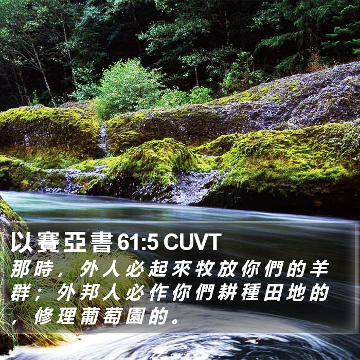 以 賽 亞 書 61:5 CUVT Bible Study