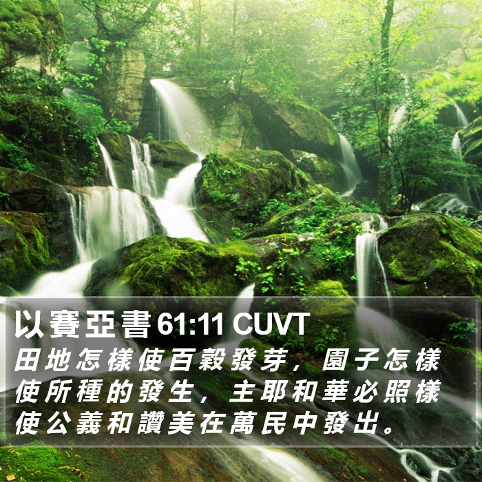 以 賽 亞 書 61:11 CUVT Bible Study