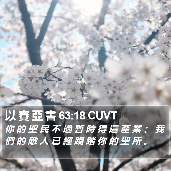 以 賽 亞 書 63:18 CUVT Bible Study