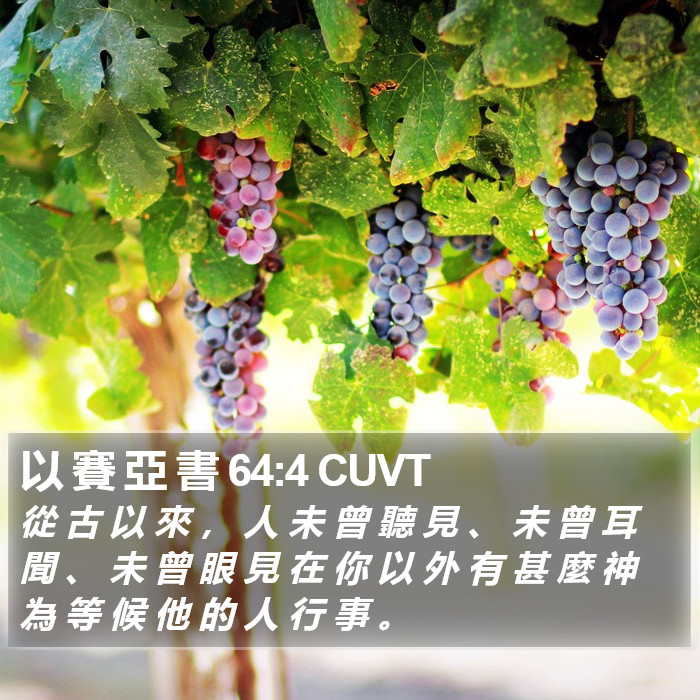 以 賽 亞 書 64:4 CUVT Bible Study