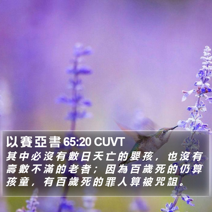 以 賽 亞 書 65:20 CUVT Bible Study