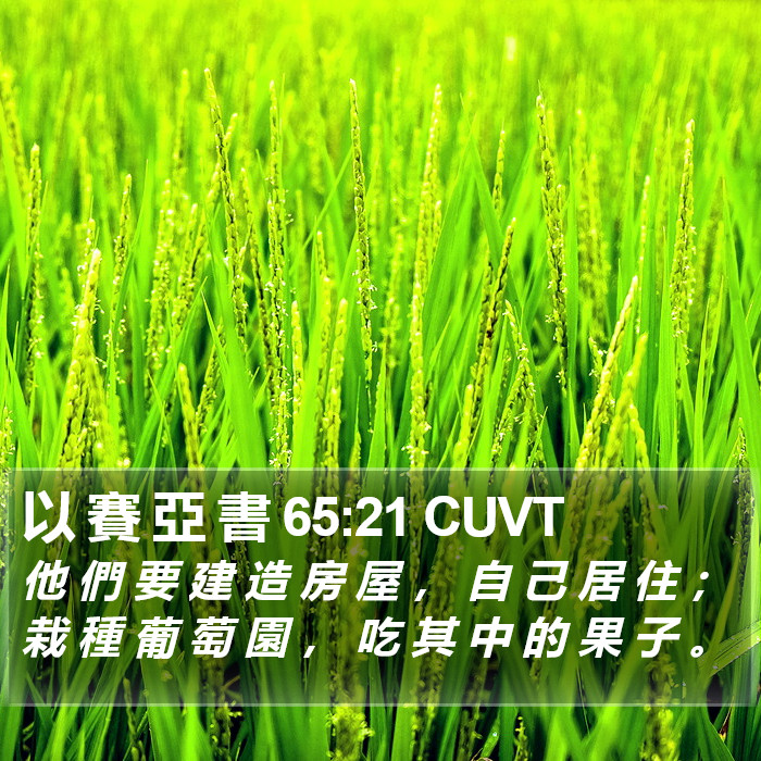 以 賽 亞 書 65:21 CUVT Bible Study