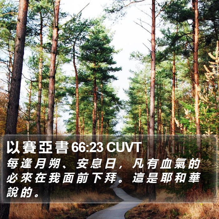 以 賽 亞 書 66:23 CUVT Bible Study