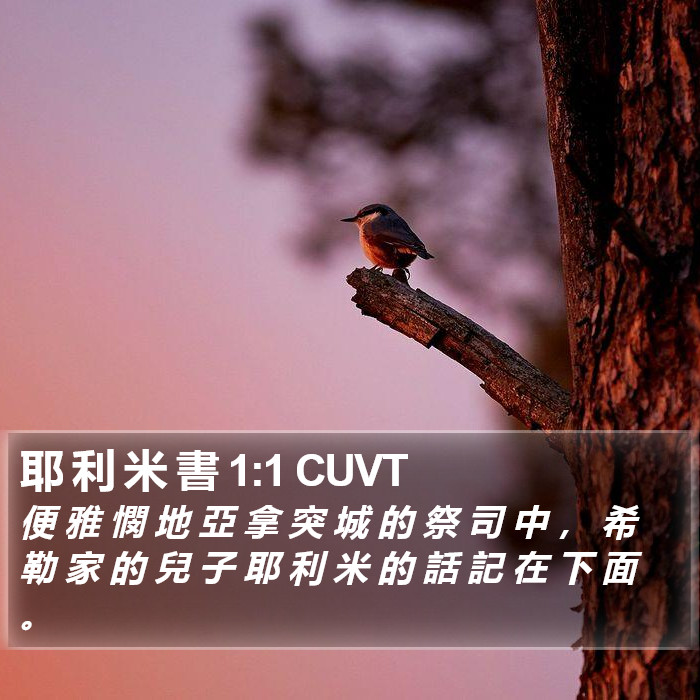 耶 利 米 書 1:1 CUVT Bible Study