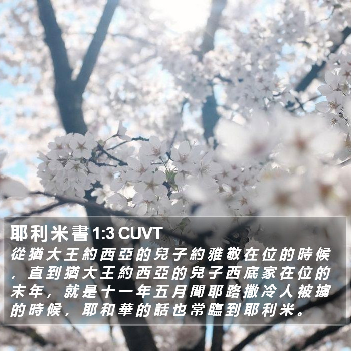 耶 利 米 書 1:3 CUVT Bible Study