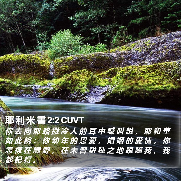 耶 利 米 書 2:2 CUVT Bible Study