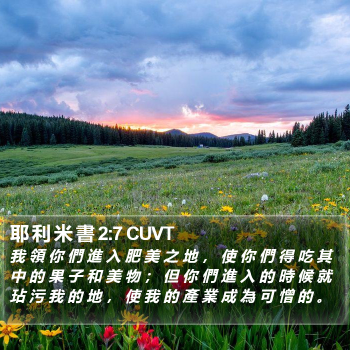 耶 利 米 書 2:7 CUVT Bible Study