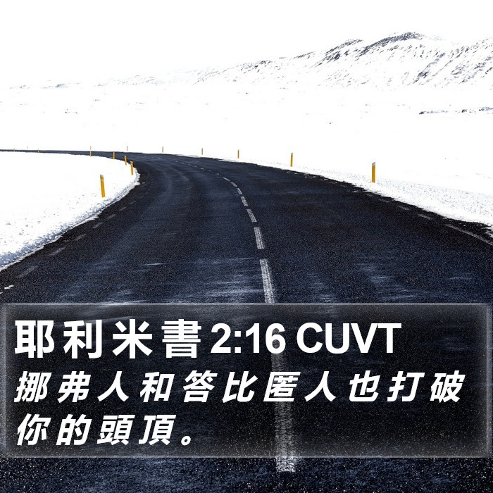 耶 利 米 書 2:16 CUVT Bible Study