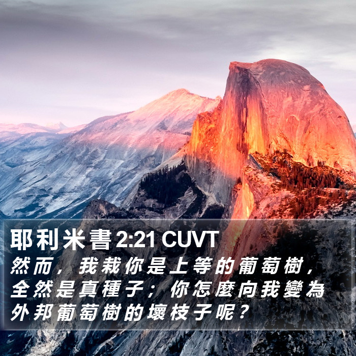 耶 利 米 書 2:21 CUVT Bible Study