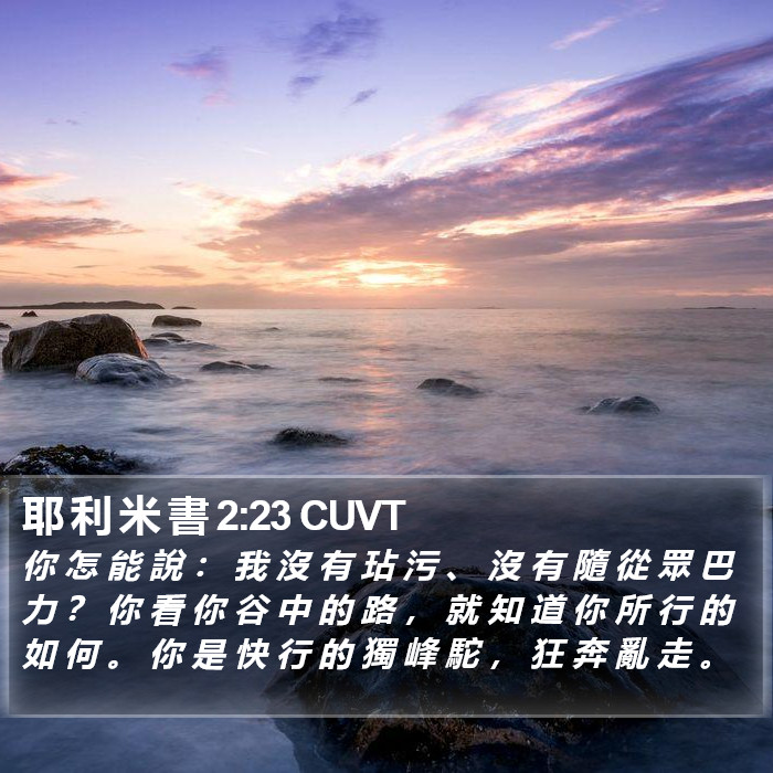 耶 利 米 書 2:23 CUVT Bible Study