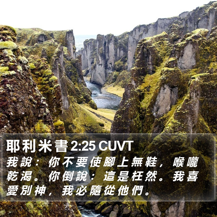 耶 利 米 書 2:25 CUVT Bible Study