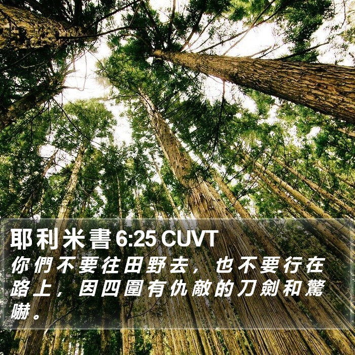 耶 利 米 書 6:25 CUVT Bible Study