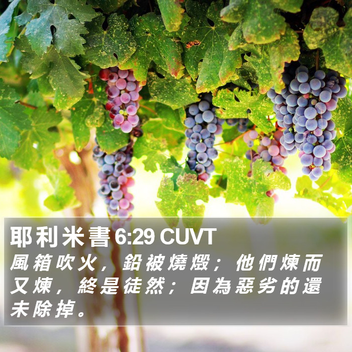 耶 利 米 書 6:29 CUVT Bible Study