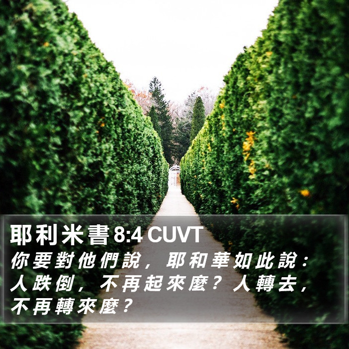 耶 利 米 書 8:4 CUVT Bible Study