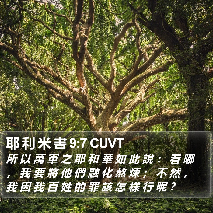 耶 利 米 書 9:7 CUVT Bible Study