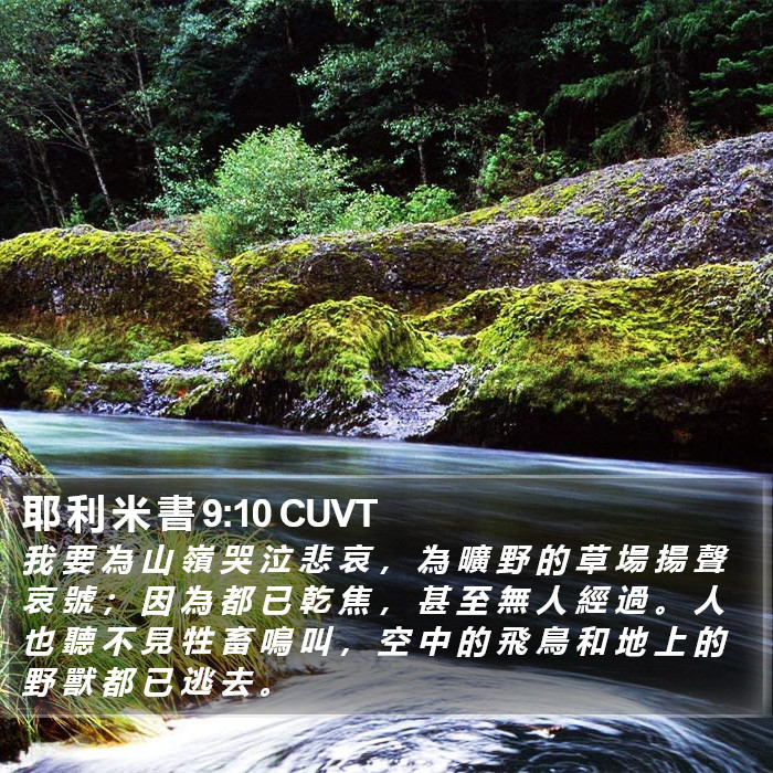 耶 利 米 書 9:10 CUVT Bible Study