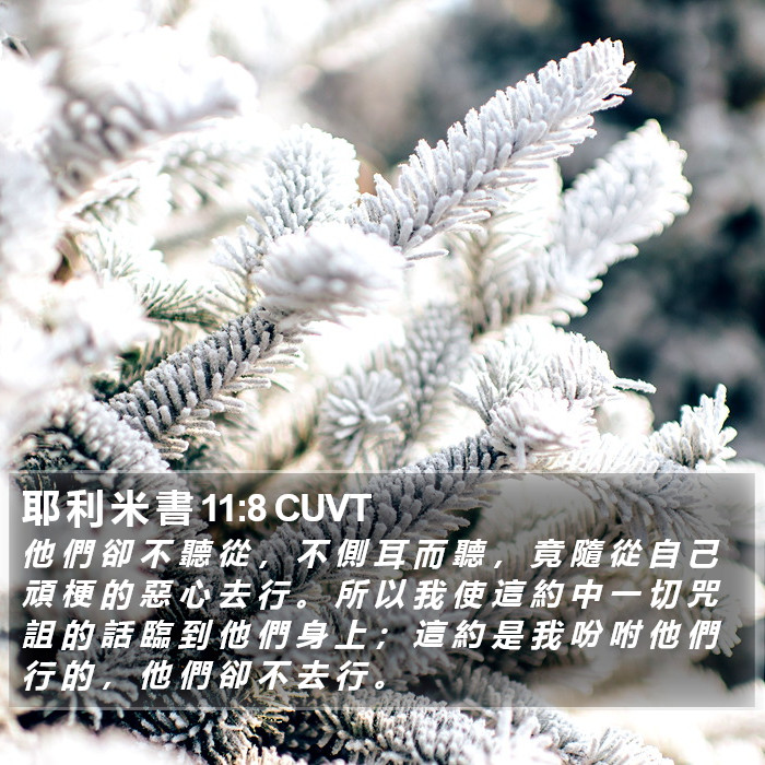 耶 利 米 書 11:8 CUVT Bible Study