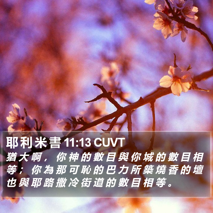 耶 利 米 書 11:13 CUVT Bible Study