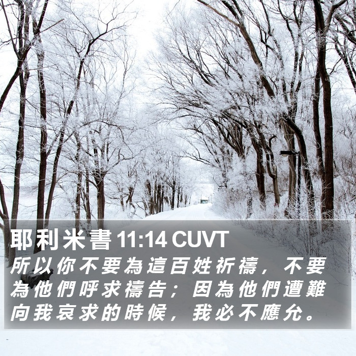 耶 利 米 書 11:14 CUVT Bible Study