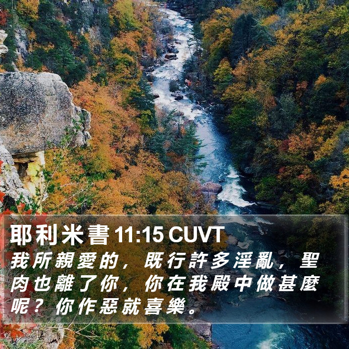 耶 利 米 書 11:15 CUVT Bible Study