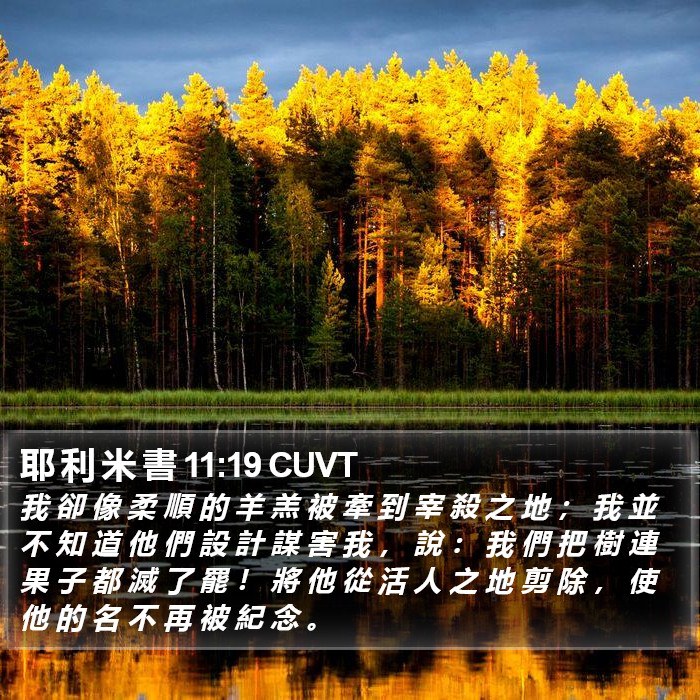 耶 利 米 書 11:19 CUVT Bible Study