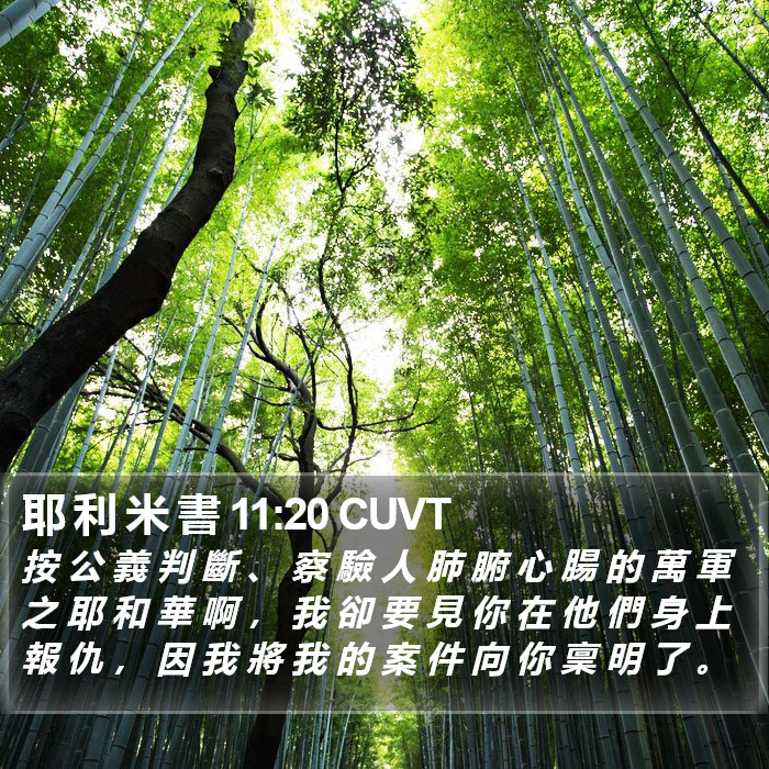 耶 利 米 書 11:20 CUVT Bible Study