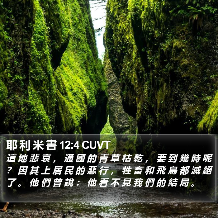 耶 利 米 書 12:4 CUVT Bible Study