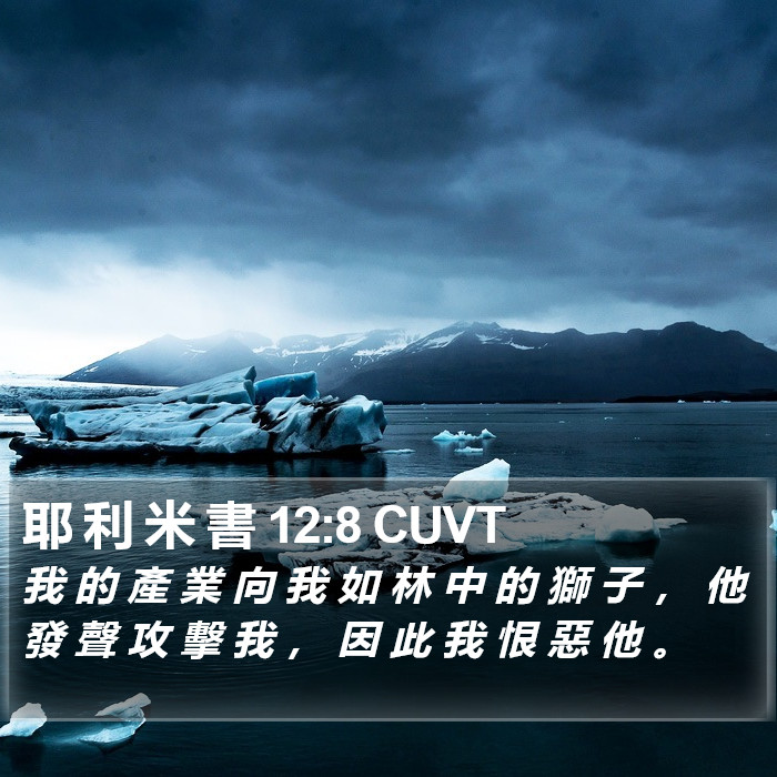 耶 利 米 書 12:8 CUVT Bible Study