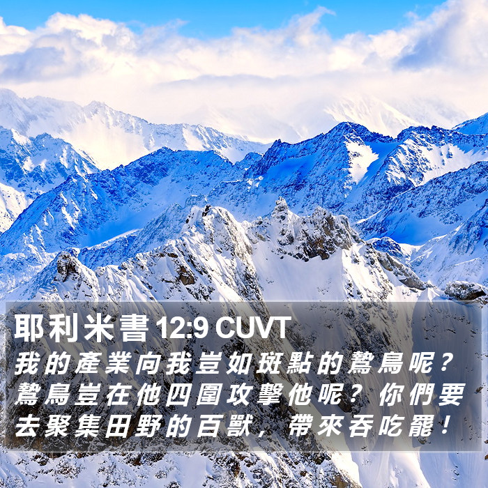 耶 利 米 書 12:9 CUVT Bible Study