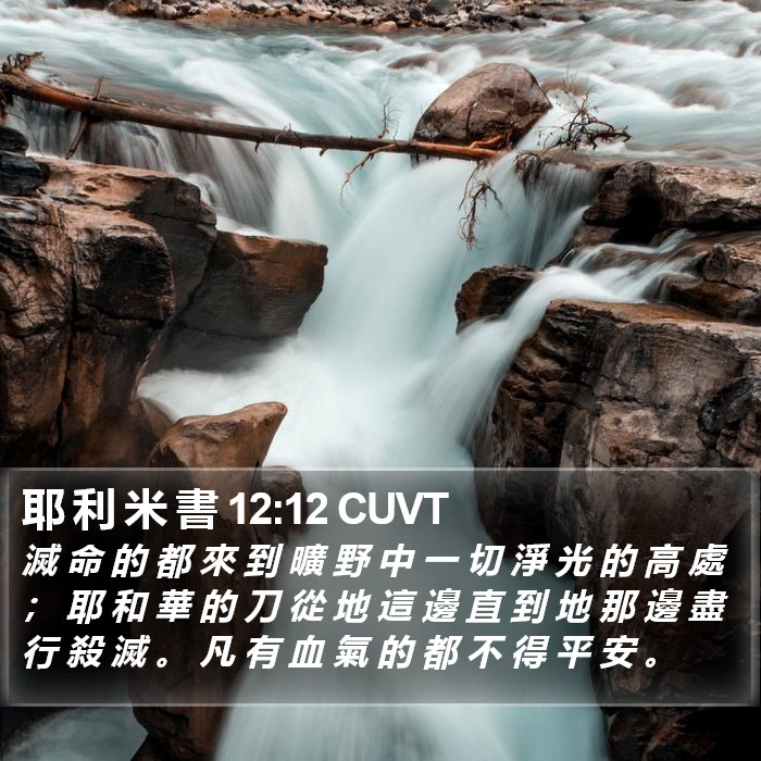 耶 利 米 書 12:12 CUVT Bible Study