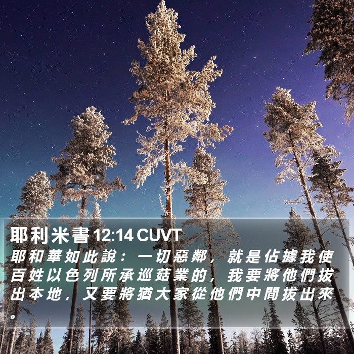 耶 利 米 書 12:14 CUVT Bible Study