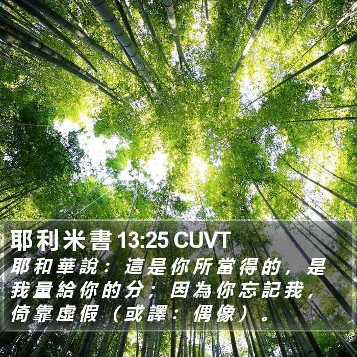 耶 利 米 書 13:25 CUVT Bible Study