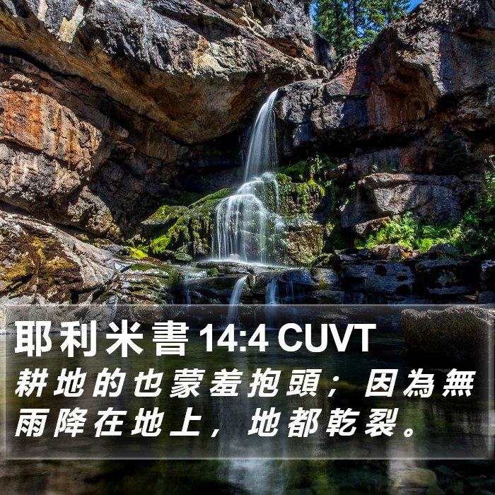 耶 利 米 書 14:4 CUVT Bible Study